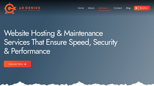 Website Hosting & Maintenance Services | Ad Genius - web hosting and maintenance services
