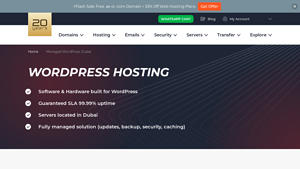 Reliable WordPress Hosting in Dubai | AEserver - wordpress hosting in dubai