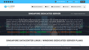 Cheap Dedicated Servers Singapore Best Cost - Arise Server - dedicated hosting singapore