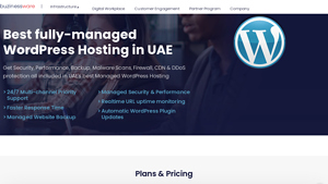 Best fully-managed WordPress Hosting in UAE - Buzinessware - managed wordpress hosting in uae