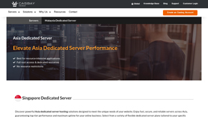 Powerful Dedicated Server Hosting Singapore - Casbay - dedicated hosting singapore