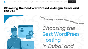 Choosing the Best WordPress Hosting in Dubai and the UAE - wordpress hosting in dubai