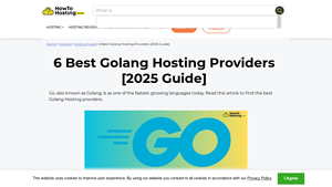 6 Best Golang Hosting Providers [2025 Guide] - go language hosting