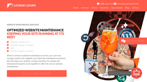 Website Maintenance - Hosting & Support | Lounge Lizard - hosting and maintenance services