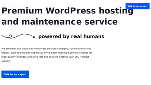 SiteonWP - Premium WordPress hosting and maintenance service - hosting and maintenance services
