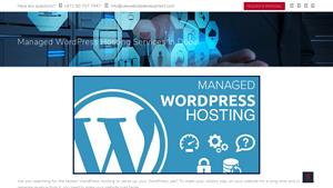 Managed WordPress Hosting | WordPress Service in Dubai - managed wordpress hosting in uae